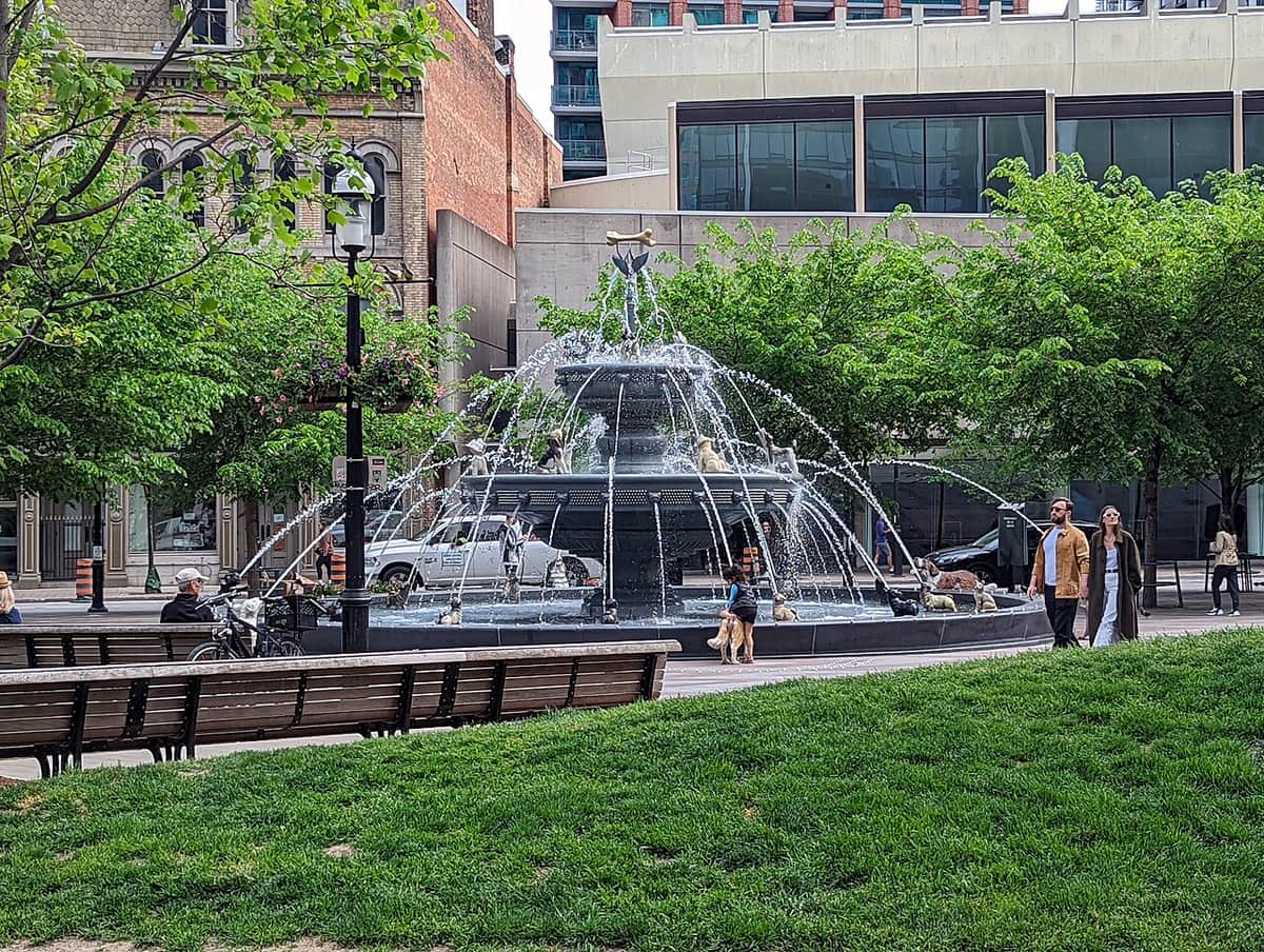 The dog fountain surrounded by green trees in Berczy Park, Toronto