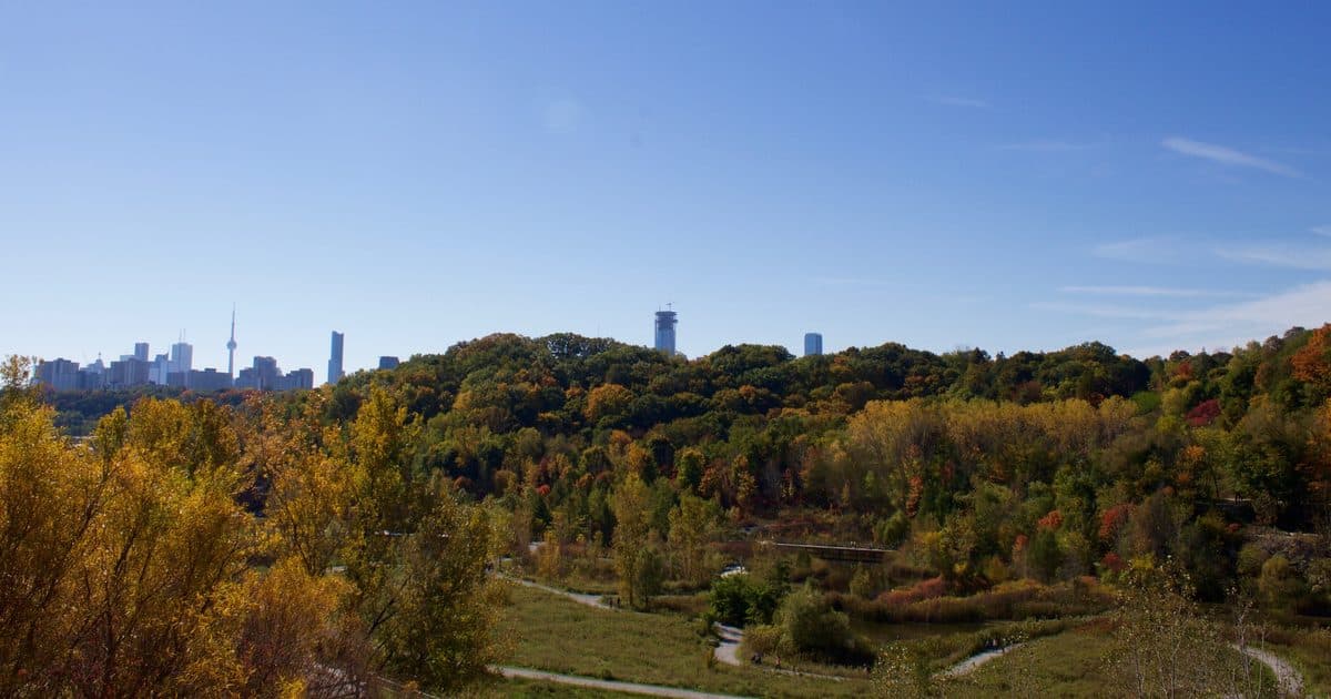 Autumn trees around Evergreen Brick Works in Toronto's Don Valley, seen from the quarry lookout