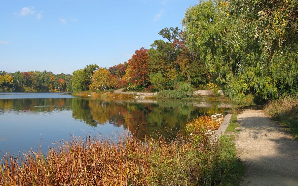 Autumn colours reflected in Grenadier Pond at High Park in Toronto